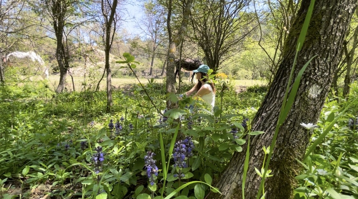 La importancia de la conexión con la naturaleza en la sanación holística