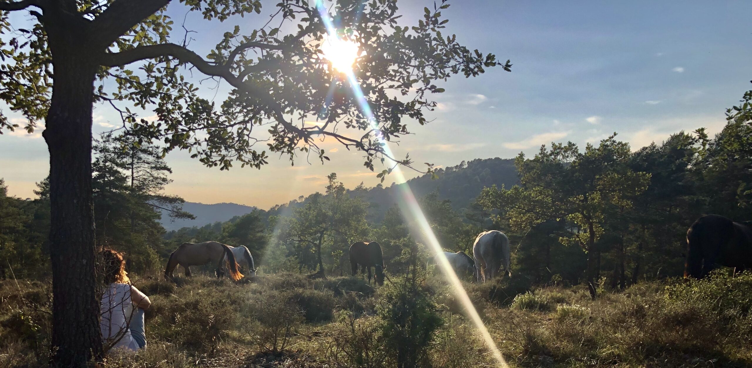 Ciclos circadianos: el ritmo de la vida