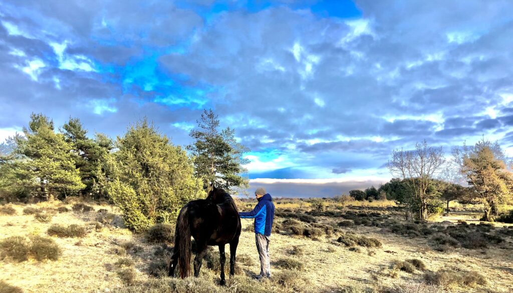 El efecto visual de la naturaleza