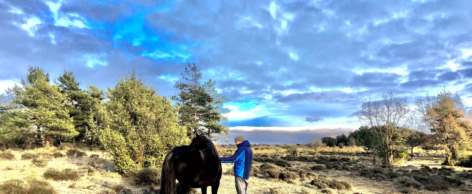 El efecto visual de la naturaleza