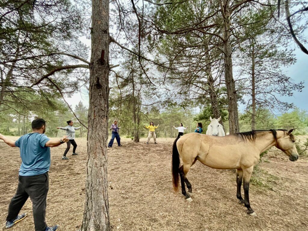 Chi kung entre caballos libres