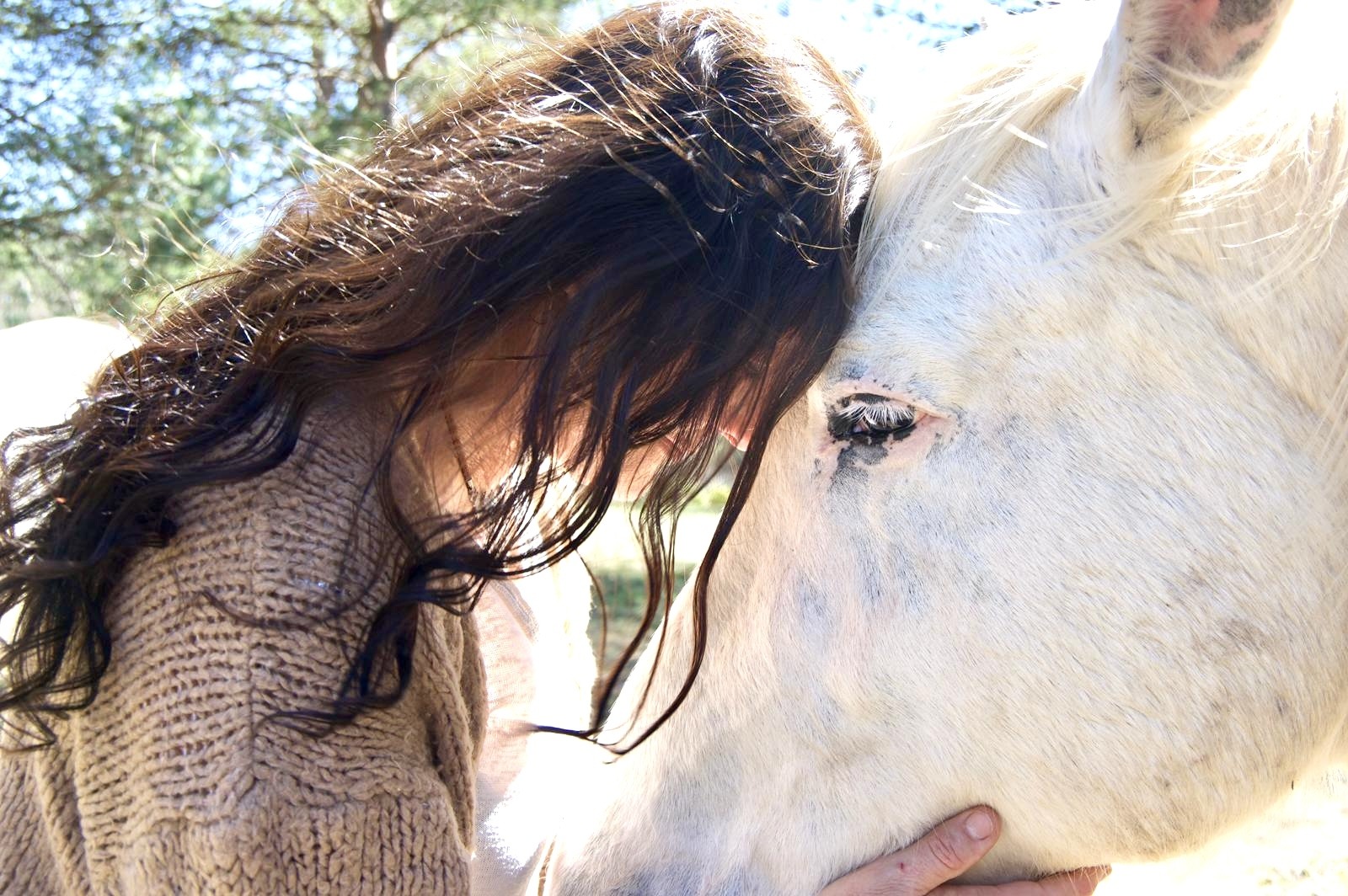 Neurobiología del Silencio: El Valor clínico del Vacío fértil